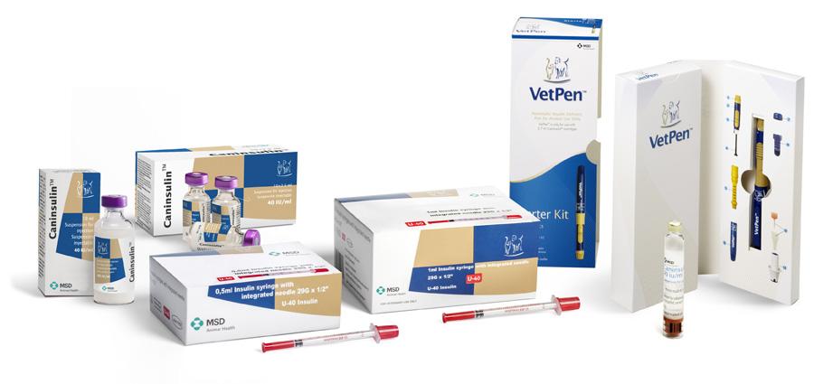 Caninsulin.com for cats and VetPen, syringes 