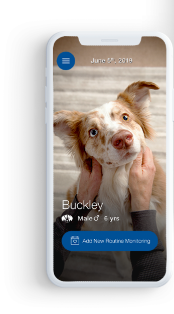 Caninsulin.com pet diabetes tracker app 