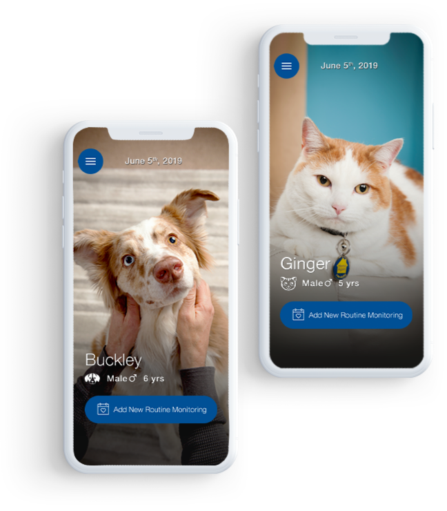 Caninsulin.com pet diabetes mobile tracker app